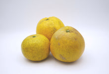 画像をギャラリービューアに読み込む, 【7月末まで】吉田農園河内晩柑約5kg B品