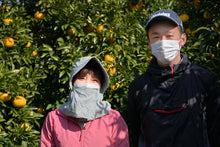 画像をギャラリービューアに読み込む, 【SOLD OUT】愛南フルーツの愛南ゴールド家庭用10kg