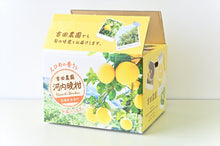 画像をギャラリービューアに読み込む, 吉田農園河内晩柑約10kg B品