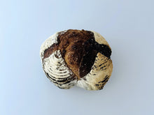 画像をギャラリービューアに読み込む, 【Belle Mer】カンパーニュ