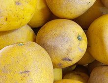 画像をギャラリービューアに読み込む, 【SOLD OUT】愛南フルーツの愛南ゴールド訳あり10kg
