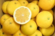 画像をギャラリービューアに読み込む, 【SOLD OUT】愛南フルーツの愛南ゴールド家庭用10kg