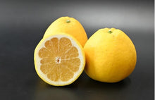 画像をギャラリービューアに読み込む, 【SOLD OUT】愛南フルーツの愛南ゴールド家庭用10kg