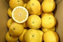 画像をギャラリービューアに読み込む, 【SOLD OUT】愛南フルーツの愛南ゴールド訳あり5kg