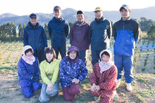 画像をギャラリービューアに読み込む, 【SOLD OUT】愛南フルーツの愛南ゴールド訳あり10kg