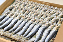 画像をギャラリービューアに読み込む, ウルメ丸干し