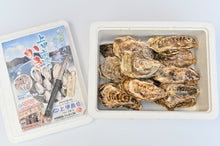 画像をギャラリービューアに読み込む, 上甲商会のかき(愛南かき) Mサイズ2kg