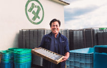 画像をギャラリービューアに読み込む, ウルメ丸干し