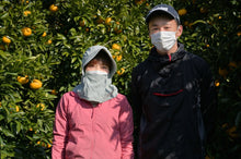 画像をギャラリービューアに読み込む, 【訳あり】愛南ポンカン(サイズミックス)5kg