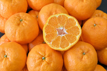 画像をギャラリービューアに読み込む, 【訳あり】愛南ポンカン(サイズミックス)5kg