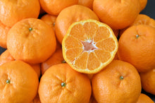 画像をギャラリービューアに読み込む, 【家庭用】愛南ポンカン(サイズミックス)10kg