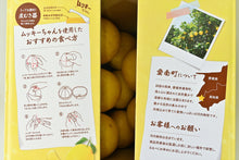 画像をギャラリービューアに読み込む, 【2025販売終了】吉田農園河内晩柑9kg(大玉)