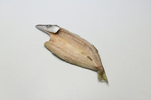 画像をギャラリービューアに読み込む, 【武久海産】旬の限定詰合せ