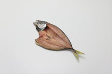 画像をギャラリービューアに読み込む, 【武久海産】旬の限定詰合せ