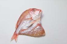 画像をギャラリービューアに読み込む, 【武久海産】旬の限定詰合せ