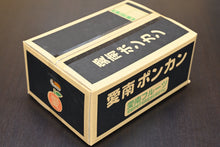 画像をギャラリービューアに読み込む, 【家庭用】愛南ポンカン(サイズミックス)5kg