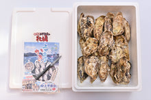 画像をギャラリービューアに読み込む, 【シーズンイン】上甲商会のかき(愛南かき)Mサイズ4kg