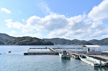 画像をギャラリービューアに読み込む, 【シーズンイン】上甲商会のかき(愛南かき)Mサイズ5kg