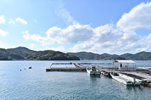 画像をギャラリービューアに読み込む, 【シーズンイン】上甲商会のかき(愛南かき)Mサイズ4kg