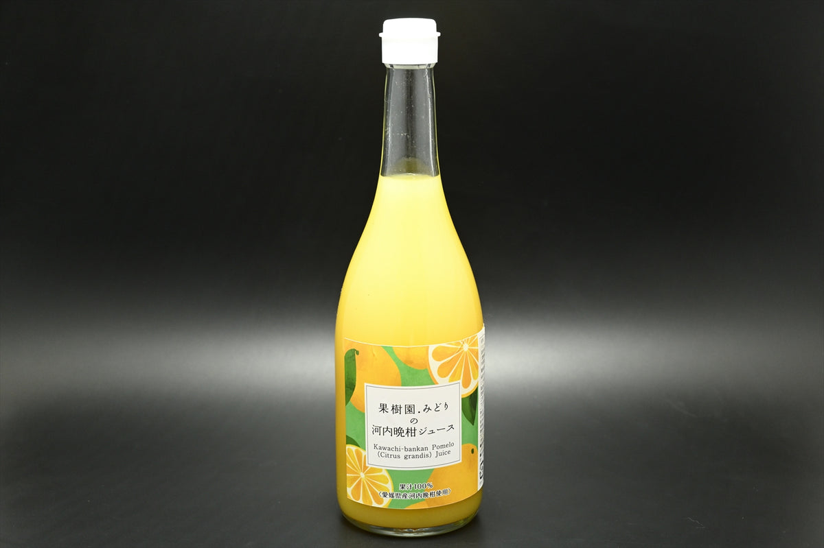 最新作河内晩柑ジュース　ストレート　果汁100% 酵素　無添加 果物