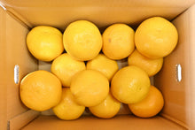 画像をギャラリービューアに読み込む, 【完売しました】吉田農園河内晩柑4kg(中玉)