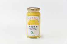 画像をギャラリービューアに読み込む, 【今期の販売を終了しました】河内晩柑フルーツソース