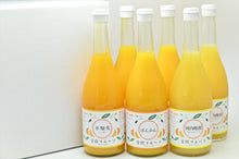 画像をギャラリービューアに読み込む, 愛南フルーツ無添加果汁100%ジュース 3種セット720ml 6本