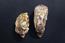 画像をギャラリービューアに読み込む, 上甲商会のかき(愛南かき) Lサイズ5kg