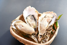 画像をギャラリービューアに読み込む, 【売切】上甲商会のかき(愛南かき) Lサイズ2kg