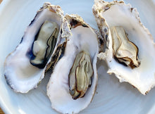 画像をギャラリービューアに読み込む, 上甲商会のかき(愛南かき) Mサイズ3kg