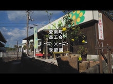 ギャラリービューア【今期の販売を終了しました】河内晩柑フルーツソースに読み込んでビデオを見る