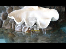 ギャラリービューア金の蜜に読み込んでビデオを見る