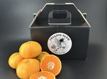 画像をギャラリービューアに読み込む, 【ペガサスファーム】極早生みかん 1.5kg サイズミックス
