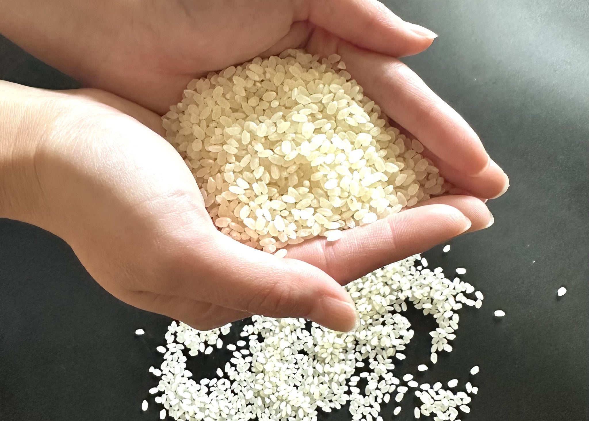 愛南町産】新米・にじのきらめき 5kg – AINAN STAND