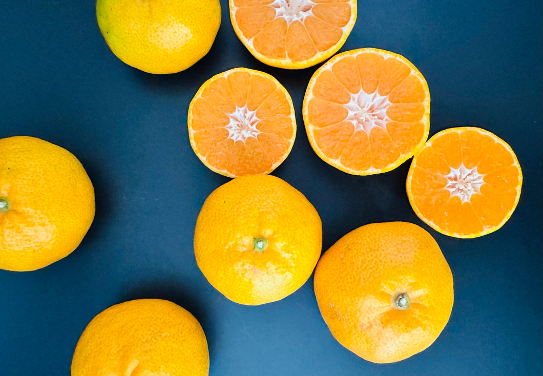 【発送11/25以降】八幡浜向灘 早生みかん 6.0kg サイズミックス