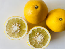 画像をギャラリービューアに読み込む, 【３月限定】文旦5.5kg
