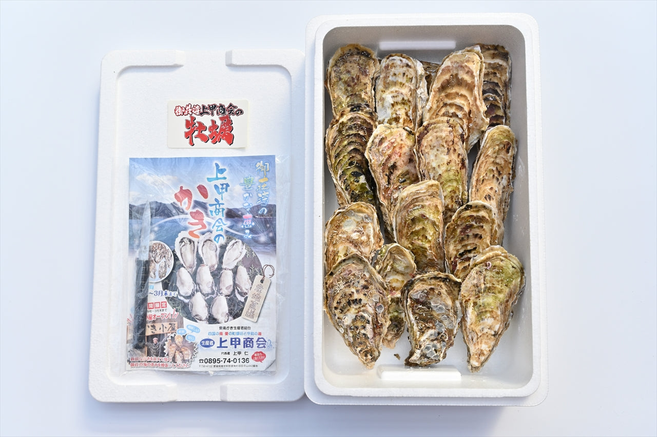 上甲商会のかき（愛南かき) Lサイズ5kg – AINAN STAND