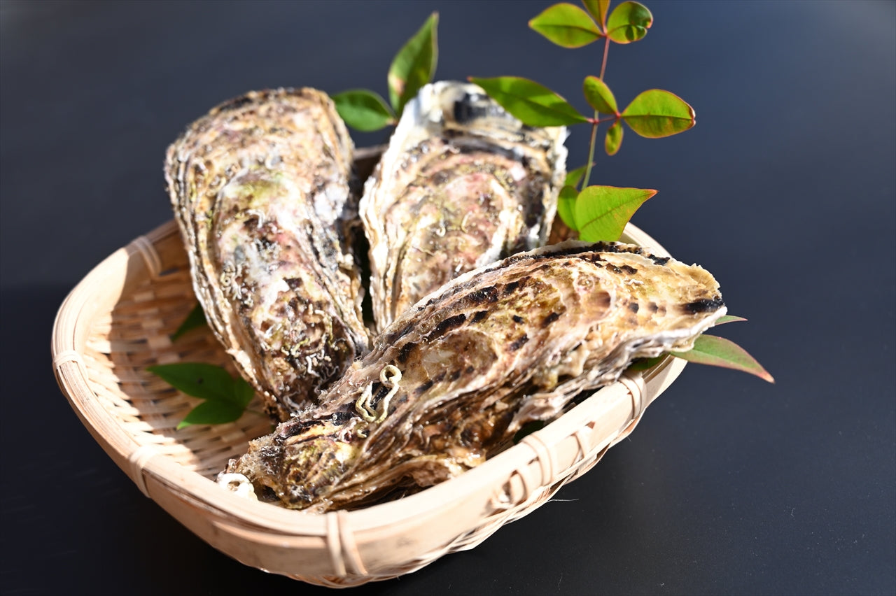 上甲商会のかき（愛南かき) Lサイズ2kg – AINAN STAND