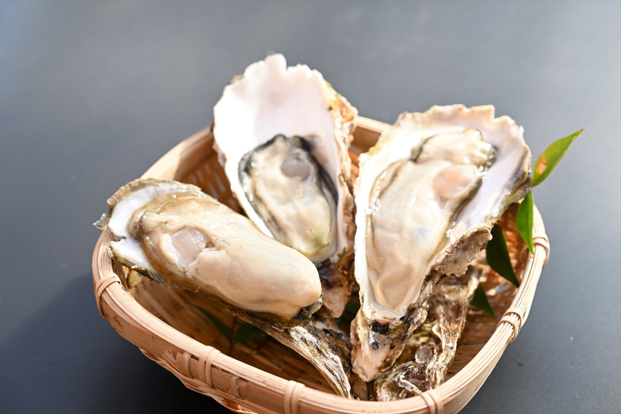 上甲商会のかき（愛南かき) Lサイズ2kg – AINAN STAND