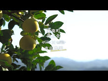 ギャラリービューア【残りわずか】吉田農園河内晩柑４kg(中玉)に読み込んでビデオを見る
